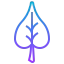 Leaf icon 64x64
