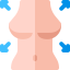 Breasts іконка 64x64