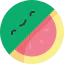 Watermelon Symbol 64x64