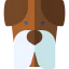 Dog icon 64x64