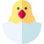 Chick icon 64x64