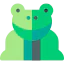 Toad icon 64x64