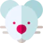 Rat icon 64x64