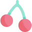 Cherry Symbol 64x64