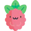 Raspberry ícono 64x64