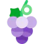 Grapes 图标 64x64