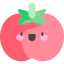 Tomatoe 图标 64x64