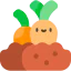 Carrots 图标 64x64