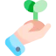 Plant 图标 64x64
