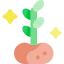 Plant 图标 64x64