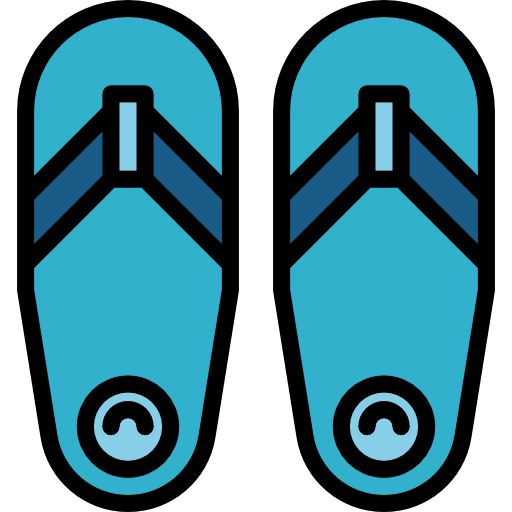 Flip flops icon