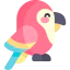 Macaw icon 64x64