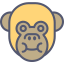 Monkey 상 64x64