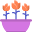 Tulips icon 64x64