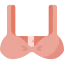 Bra icon 64x64