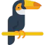 Toucan biểu tượng 64x64