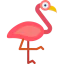 Flamingo ícone 64x64