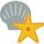Starfish biểu tượng 64x64