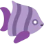 Fish biểu tượng 64x64
