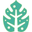 Leaf icon 64x64