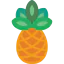 Pineapple icon 64x64