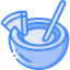 Coconut icon 64x64