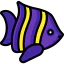 Fish 图标 64x64