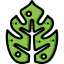 Leaf 图标 64x64