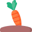 Carrot іконка 64x64