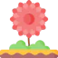 Dalia іконка 64x64