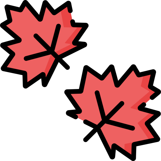 Maple leaf icon