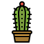 Cactus icon 64x64
