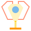 Trophy icon 64x64
