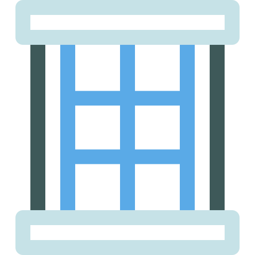 Window icon