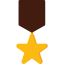 Medal icon 64x64