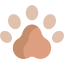Bear アイコン 64x64
