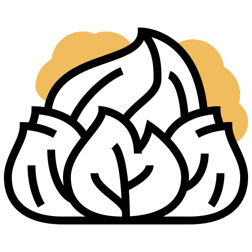 Cabbage icon