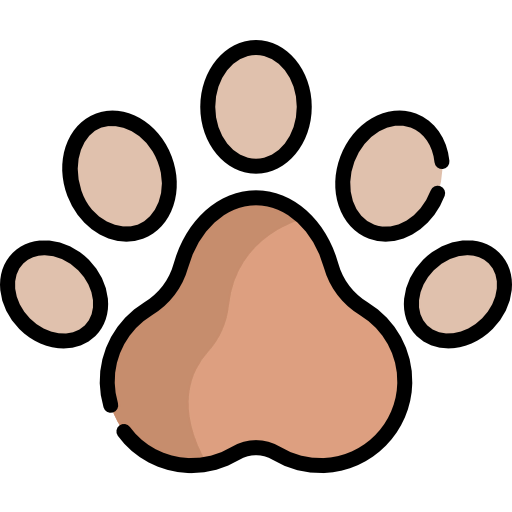 Bear icon