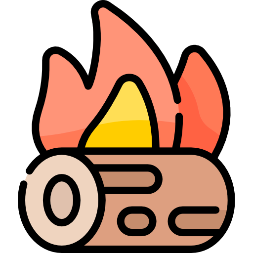 Fire icon