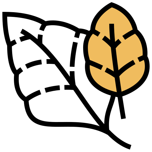 Spinach icon