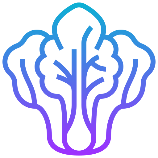 Cabbage icon