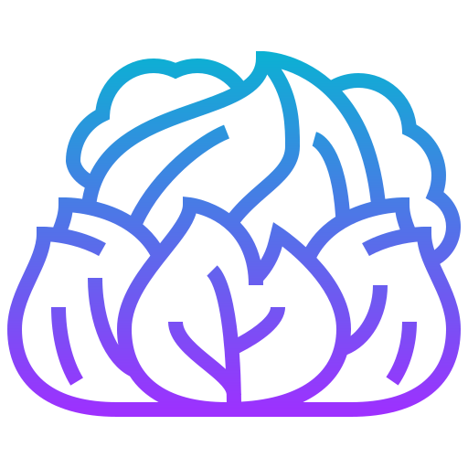 Cabbage icon