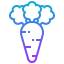 Carrot 图标 64x64