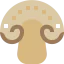 Mushroom icon 64x64