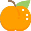 Apricot 图标 64x64
