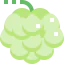 Custard apple Ikona 64x64