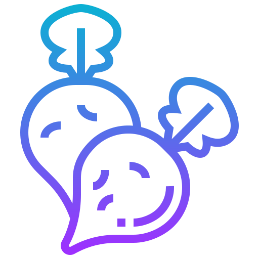 Radish icon