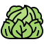 Cabbage biểu tượng 64x64
