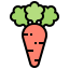 Carrot biểu tượng 64x64