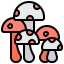 Mushroom biểu tượng 64x64